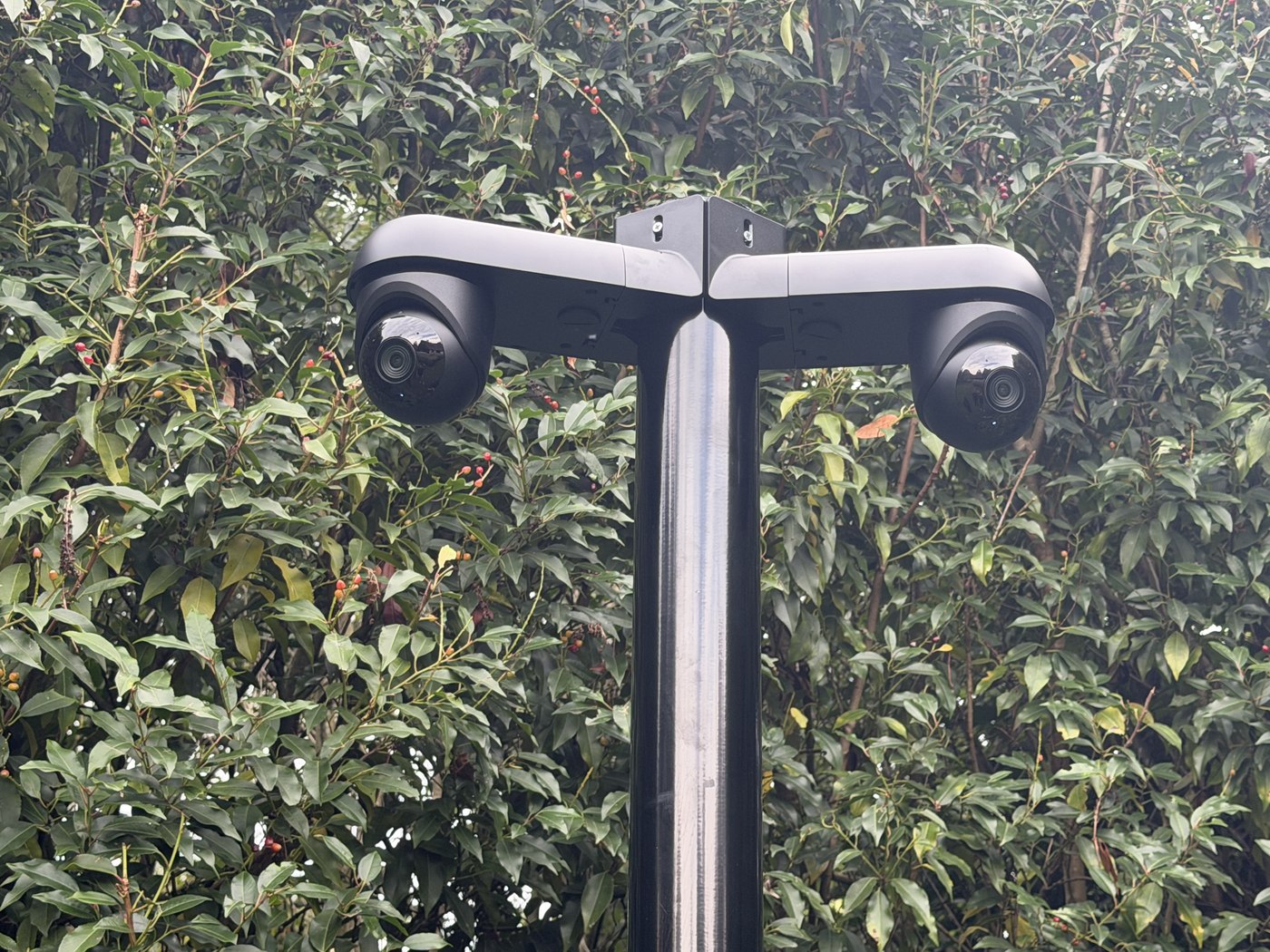 Camerapaal met twee camera&rsquo;s op een T-stuk, voor een haag