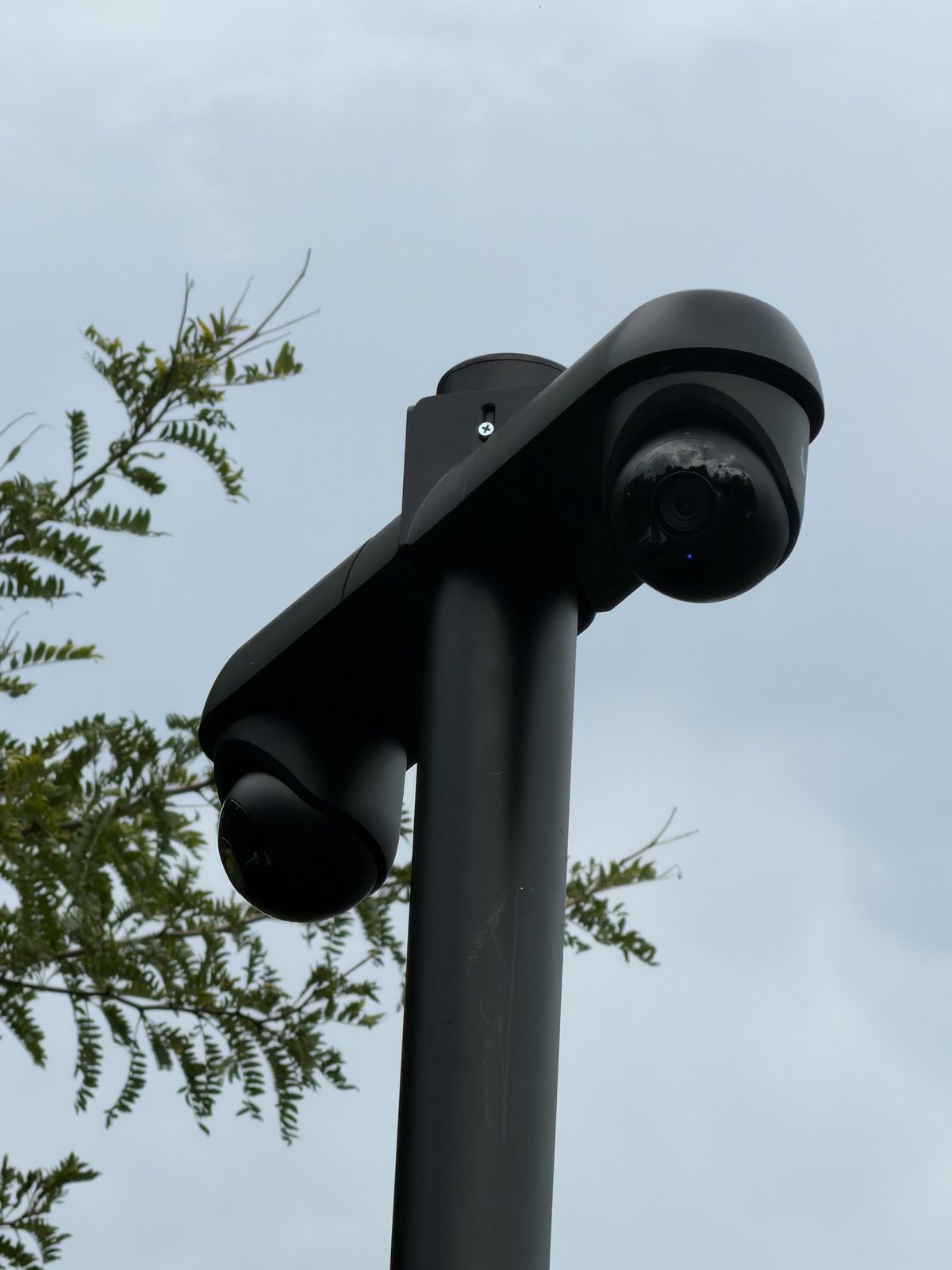 Twee camera&rsquo;s op een zwarte paal in de tuin