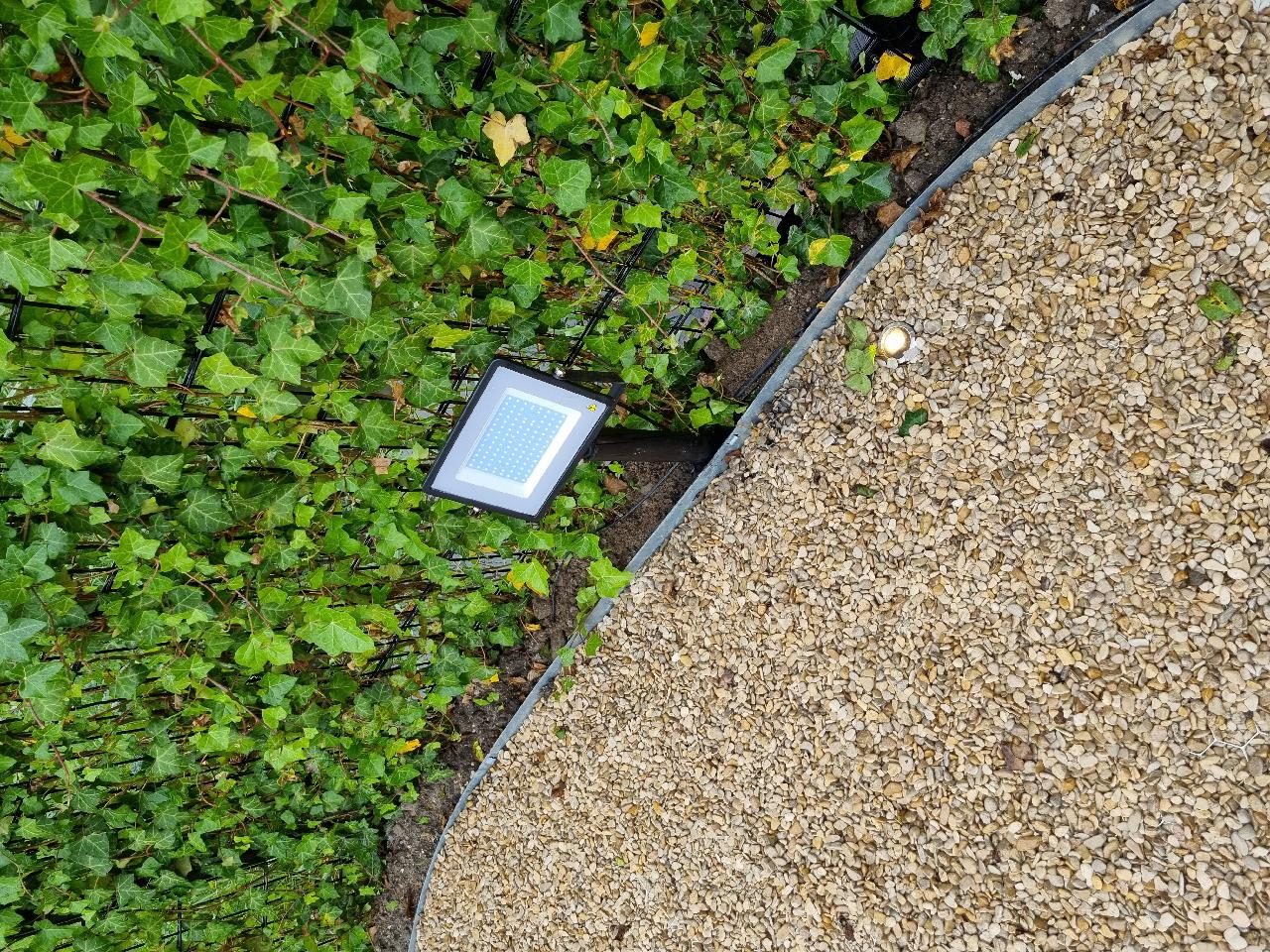 LED-schijnwerper in de border van een tuin