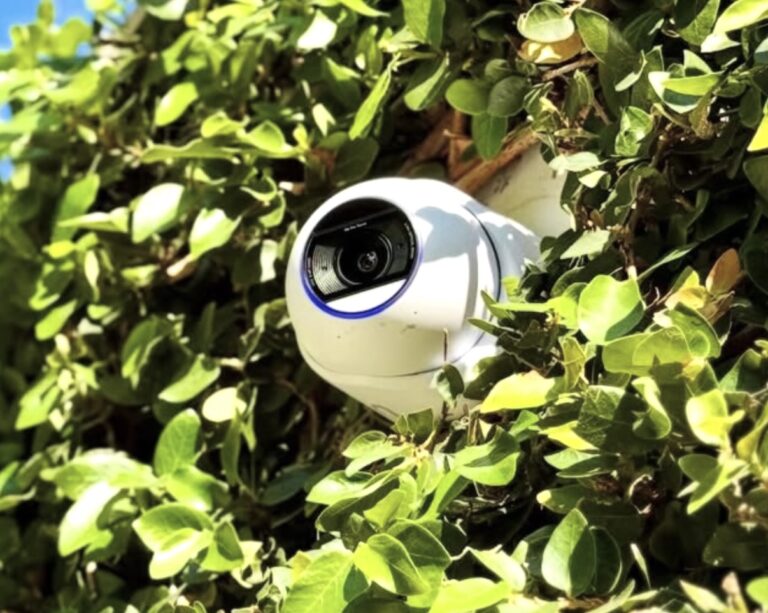 Witte camera weggewerkt in een groene haag