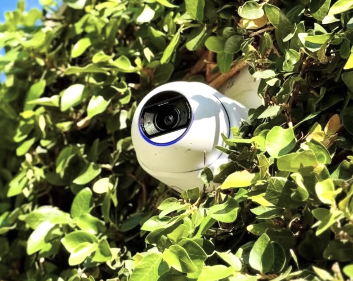 Witte koepelcamera weggewerkt tussen het groen van een haag