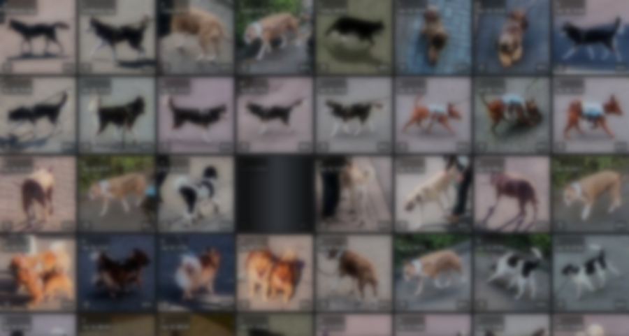 Zoekresultaat met alle dieren die voor de camera kwamen